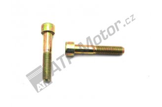 53372963: Bolt M10x55 A/C M97