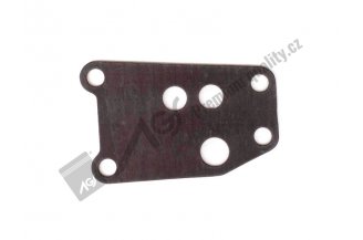 64001005: Oil cleaner gasket AGS