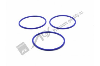 950117AGS: Zylinderdichtung MVQ AGS
