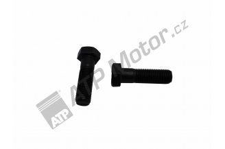 SM16x55: Bolt M16x55 Z-25-6024.70