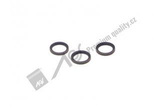 932176: Těsnění Double delta AGS