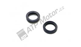 Dichtungsring 22 SCHLEMMER XX