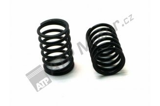 52020509: Ventilfeder außen