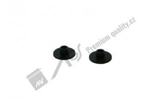 53369055: Vsuvka AGS