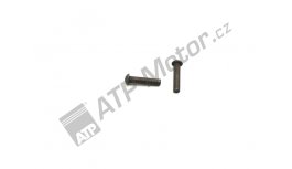 Differenzialniet 8x38