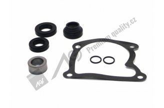 67110098AGS: Water pump seal kit AGS