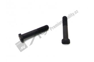 951110: Clutch bolt M10x1x55 AGS