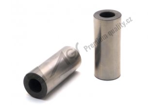 67010332 AGS: Čep pístní AGS