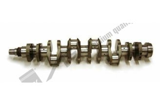 89003519: Kurbelwelle komplett 6V AGS