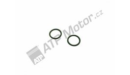 Ring 20,30x2,62 FRT-P