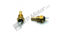Temperature sensor