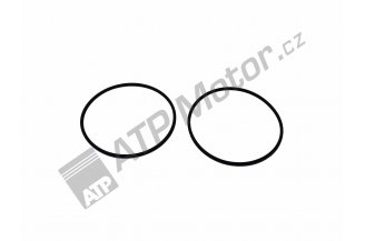 Z25969.09: Sealing ring fuel filter