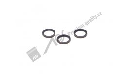 Těsnění Double delta AGS