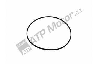 935173: Sealing ring CAP MAJN