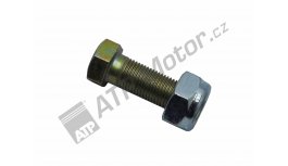 Bolt with nut *