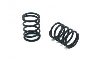 89005501 AGS: Valve spring outer 80-005-013