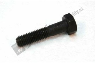 930218 AGS: Bolt M10x45 CA AGS