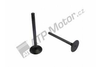 AVEINPAVI001: Ventil sací IN AVIA ATM 360-020243