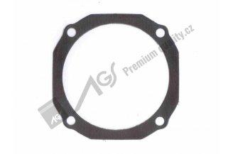57112815: Gasket AGS