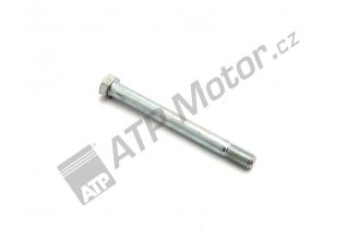 992999: Schraube M10x100