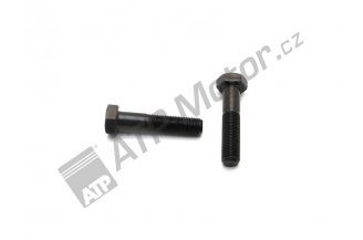 998417: Šroub M12x1,25x55 10,9 17-003-015