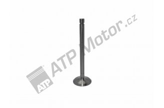 M2401007014B2: Inlet valve *