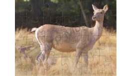 Puzzle deskové - Laň-24 dílků