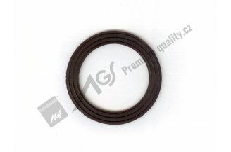 950203: Front cover plug gasket AGS