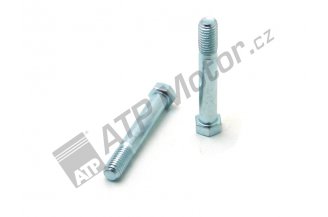 992989: Bolt M10x65
