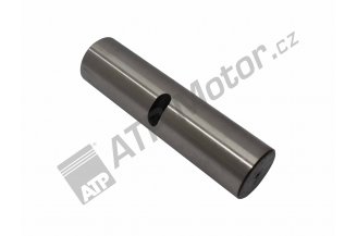 110307000: Axle pin Desta