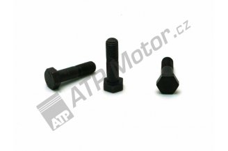 950317: Šroub setrvačníku M12x1,5x45 CZ