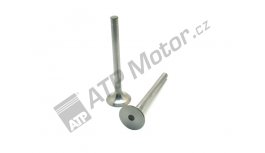 EX Auslassventil d=10,00 mm