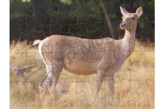 25004: Board puzzle - hind, 24 pcs